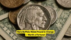 Stunning Discovery: Buffalo Nickel Found to Be Worth Almost $1 Million!