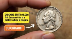 Shocking Truth: This Common Coin Is a Hidden Fortune in Disguise