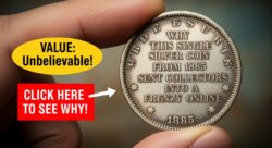 Why This Single Silver Coin From 1885 Sent Collectors Into a Frenzy Online